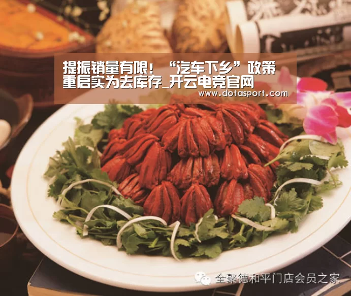 提振销量有限！“汽车下乡”政策重启实为去库存_开云电竞官网