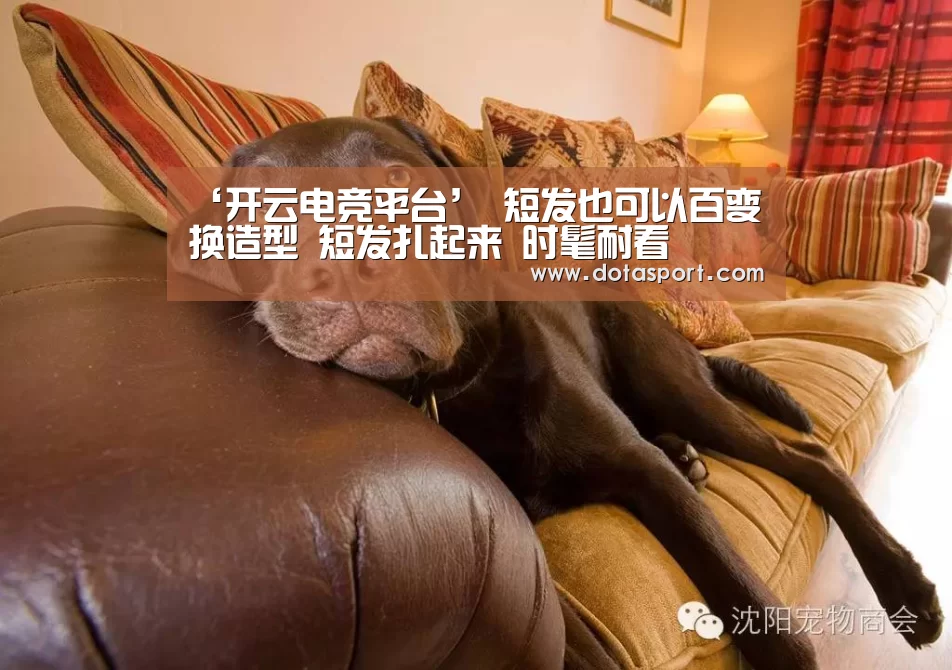 ‘开云电竞平台’
短发也可以百变换造型 短发扎起来 时髦耐看